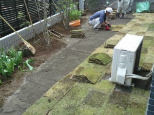 ガーデニング「芝張り」